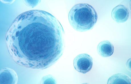 Blog 3D Biological Cells Blue White