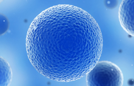 Blog Main Image - 3D Biological Cells Blue