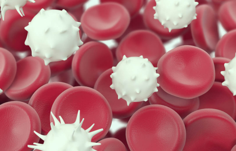 Blog Main Image - 3D Biological Cells White Red