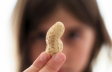 Blog Main Image - Peanut Held by Girl