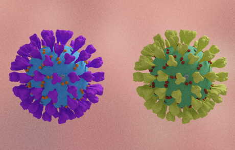Blog Main Image - 3D COVID Particles Colored