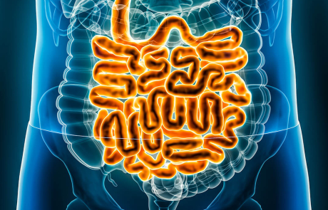 Blog Main Image -  3D Biological Intestines Blue