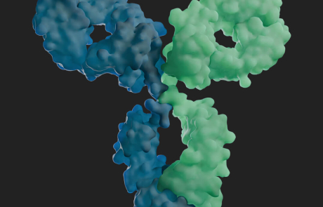 Blog 3D Biological Antibody