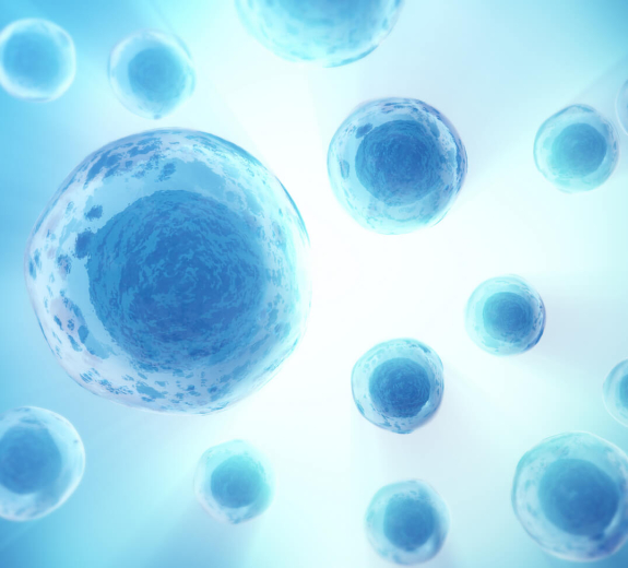 Blog 3D Biological Cells Blue White