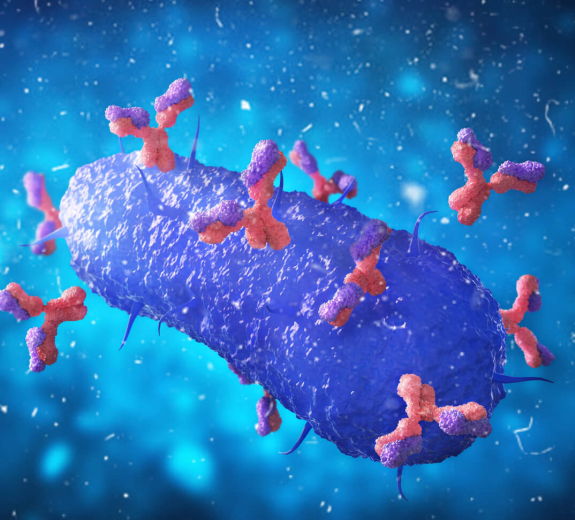 Blog Main Image - 3D Biological Oncology Virus Attacked Antibodies