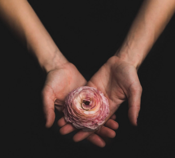 Blog Main Image - Hands Holding Flower Black