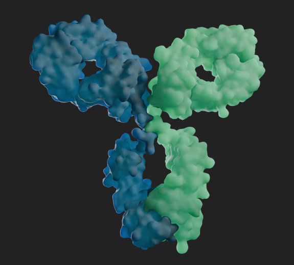 Blog 3D Biological Antibody