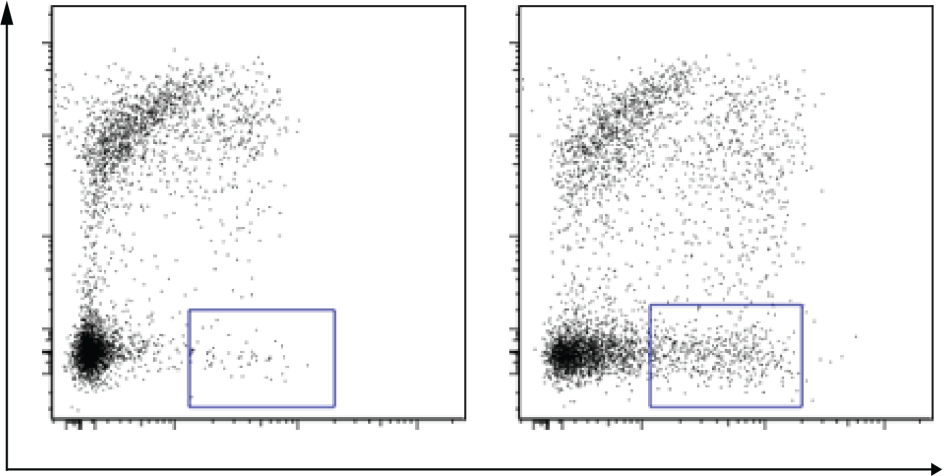 Commensal-specific B Cells | Benaroya Research Institute