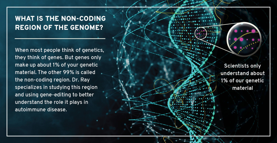 Layout 3D What is Non-Coding Region of Genome