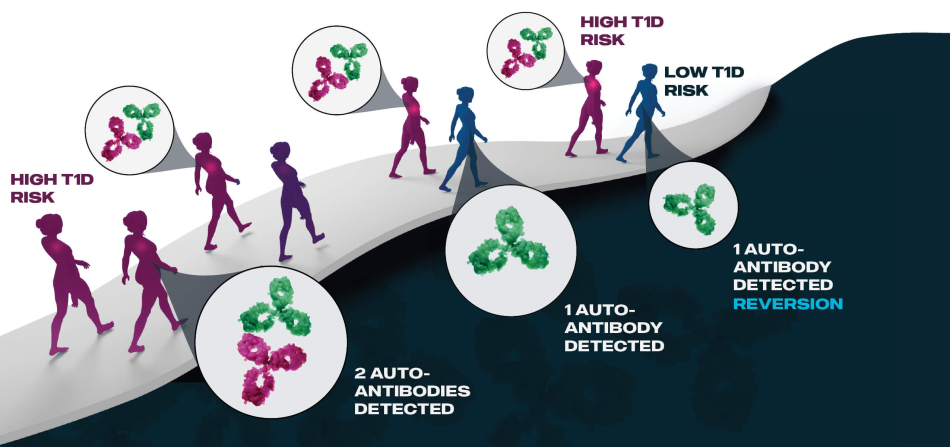 Graphic Layout Autoantibody Reversion 2