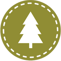 CII 200x200 Logo Camp Leo High School