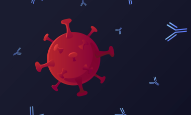 Blog 2D Antibodies Monoclonal
