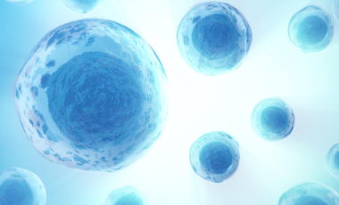 Blog 3D Biological Cells Blue White
