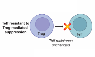 Buckner Research Project Preview - Altered T Cell Function in AID
