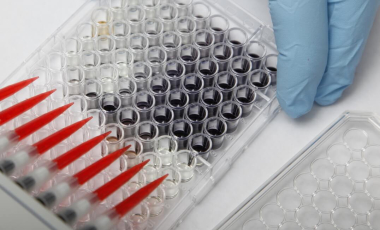 Blog BRI Researcher Samples Hood 2
