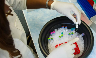 Blog Researcher Woman Bucket Samples