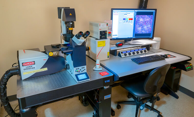 CATA Equipment Imaging - Leica SP5 Confocal