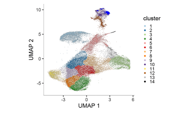 Linsley Lab Res Proj Prev - Elucidating Immune Processes