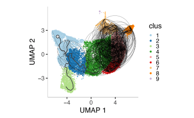 Linsley Lab Res Proj Prev - Exhausted CD8+ T Cell