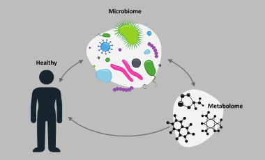 Byrd Lab Research Project Preview - Steady State Microbiome