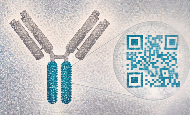 Irvine Lab Research Project Preview - FcGPT Protein Language