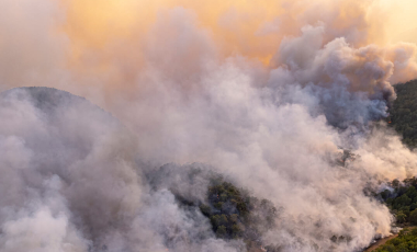 Blog Forest Wildfire