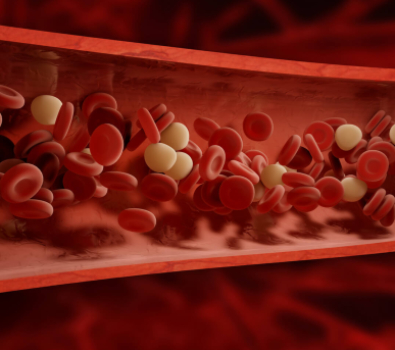 Blog Main Image - 3D Biological Blood Cells Bloodstream