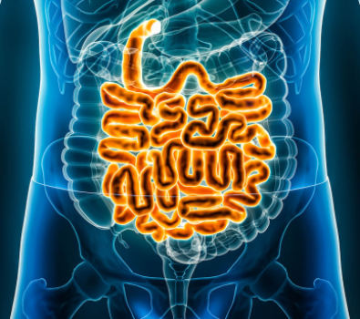 Blog Main 3D Biological Intestines Blue