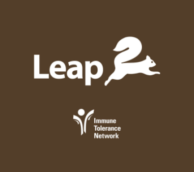 News Leap ITN