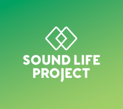 News Sound Life Project