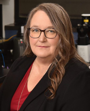Bio Judith James