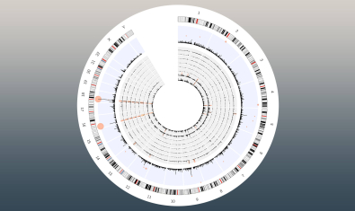 Lacy-Hulbert Research Project Banner - Forward Genetics